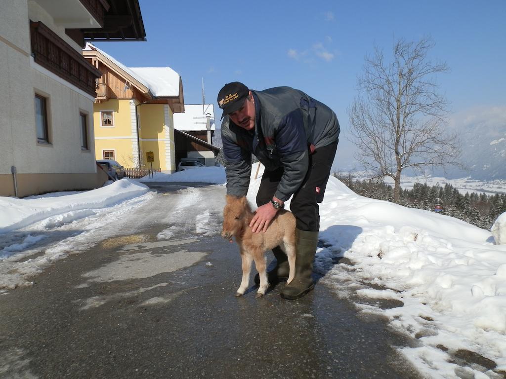 Kollerhof Lägenhet Schlanitzen Exteriör bild